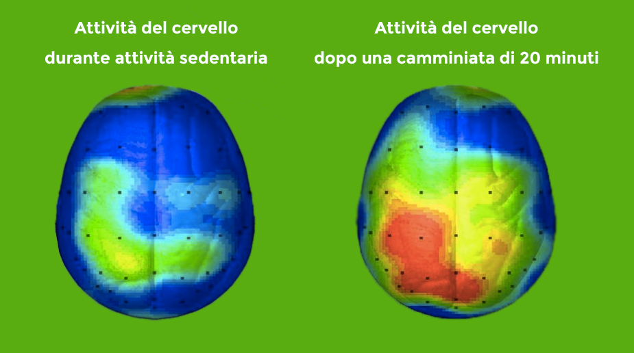 attività-cervello